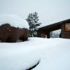 Blizzard and frigid conditions in Flagstaff, Arizona. D. Soltesz CC BY