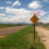 Earth fissure sign, Cochise County, AZ (7/2013)